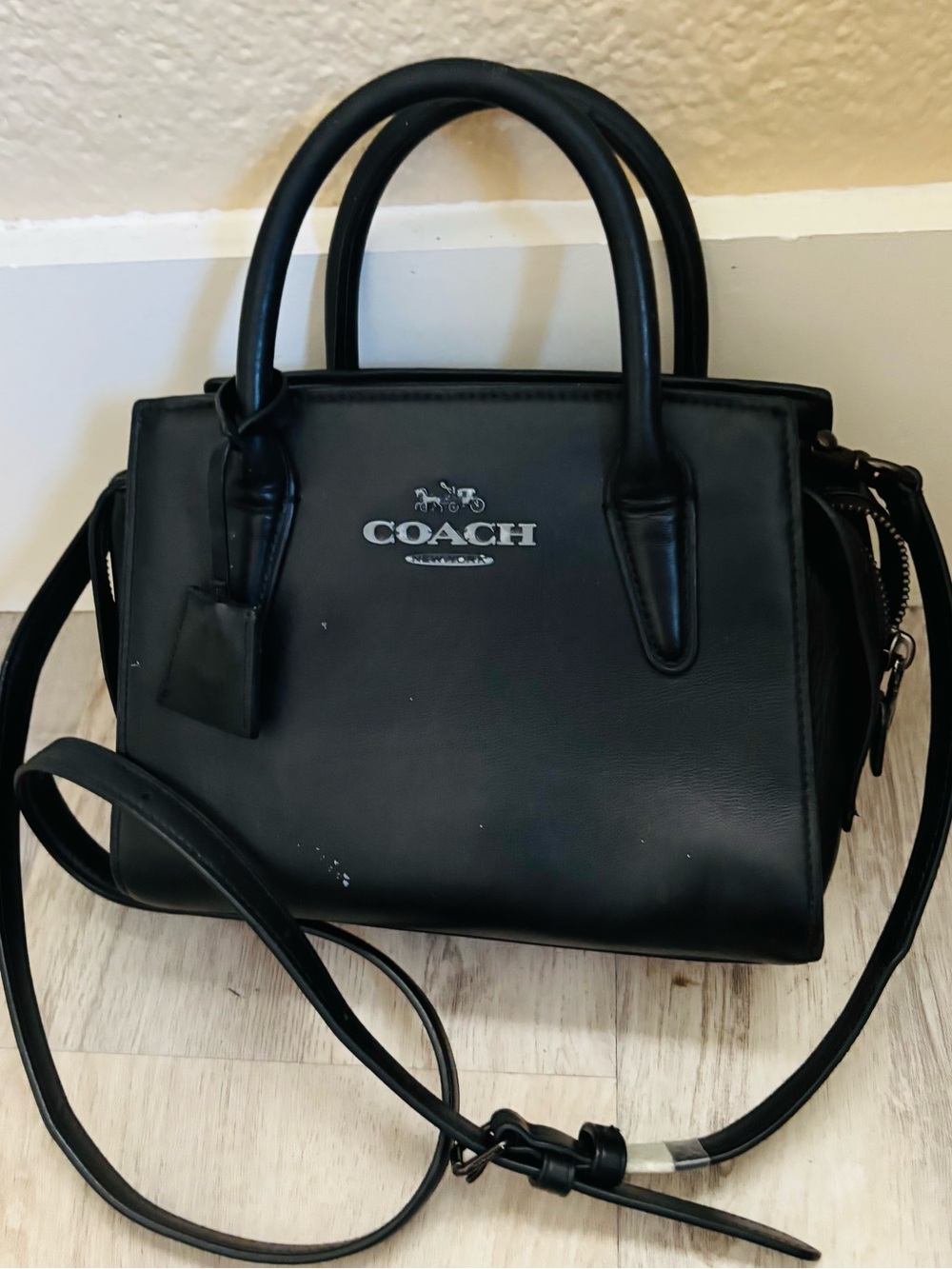 the Coach Andrea Carryall.